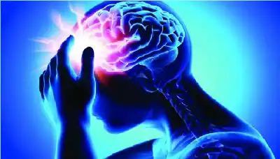 كشف سرّ الكود: كيف تنسى خلايا