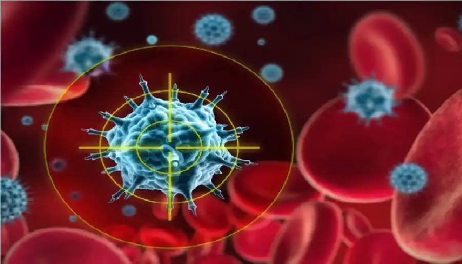 مدار الساعة,أخبار الصحة والأسرة