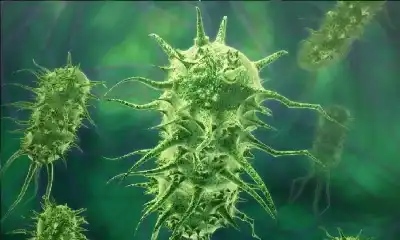 المركب الوسيط: كيف ولدت صدفة أقوى