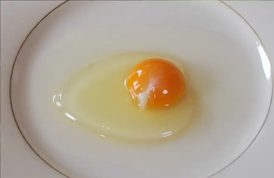 مدار الساعة,أخبار الصحة والأسرة