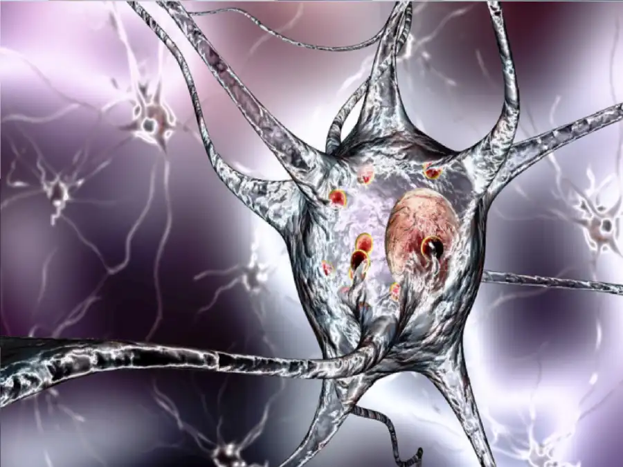 مدار الساعة,أخبار الصحة والأسرة