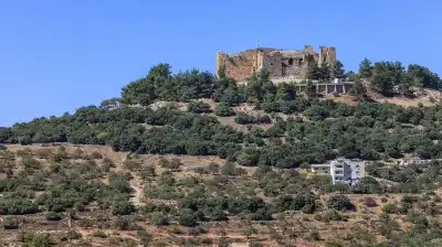 عجلون: دعوات لتكثيف حملات التوعية لمكافحة