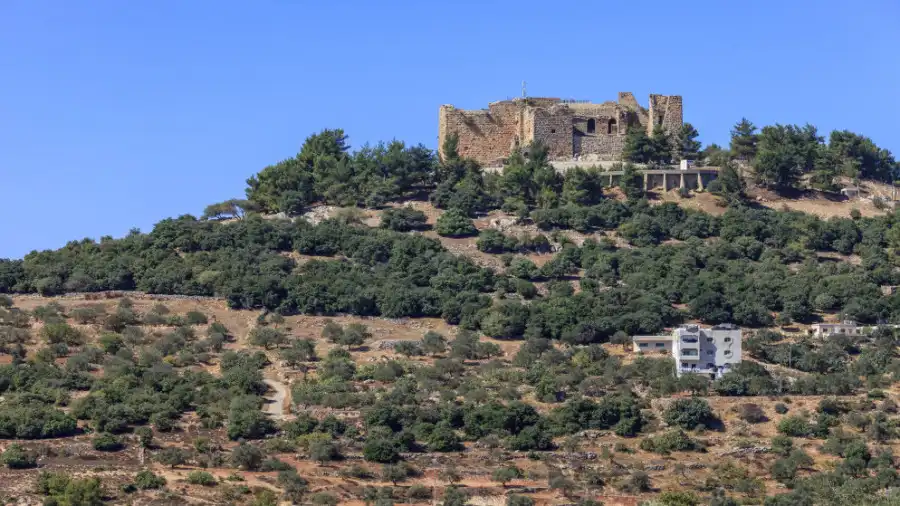 مدار الساعة,أخبار الأردن,اخبار الاردن,جامعة عجلون الوطنية