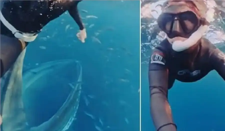 مدار الساعة,أخبار خفيفة ومنوعة