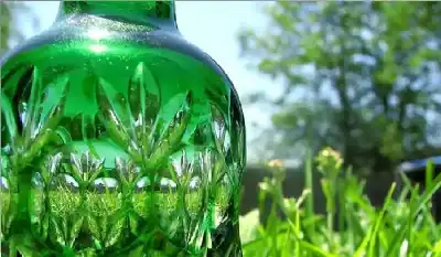 بنية ورقة الشجر: بلاستيك حيوي جديد