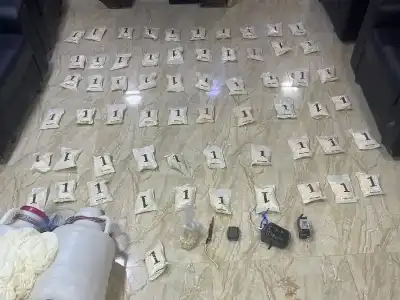 الجيش الأردني: أسقطناها.. وأفشلنا المحاولات الثلاث