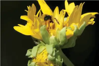 المعركة الصامتة: كشف الأسرار وراء صراع