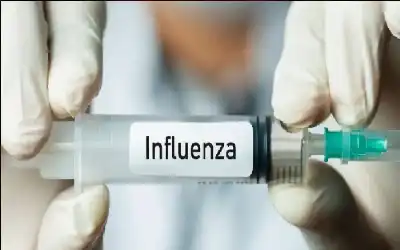 نهاية عهد زكام الشتاء: كيف يكتب