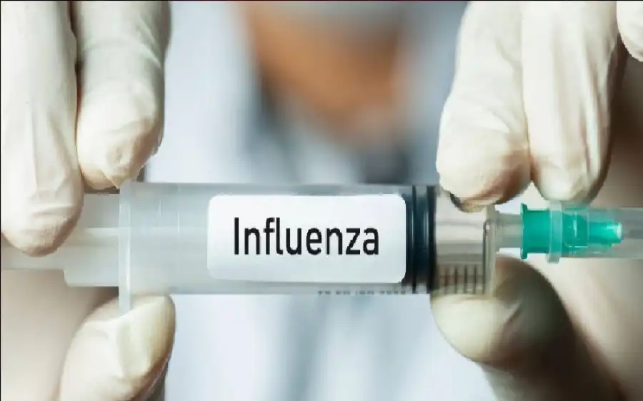 مدار الساعة,أخبار الصحة والأسرة,منظمة الصحة العالمية,الذكاء الاصطناعي