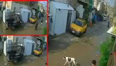 كيف نجت الصغيرة من الموت بأعجوبة؟