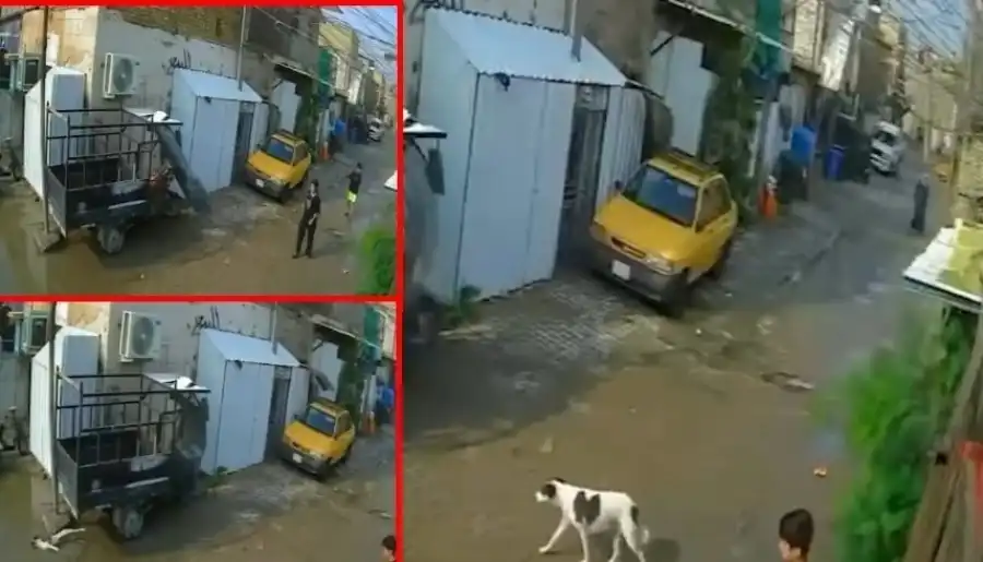 مدار الساعة,أخبار الصحة والأسرة,الدفاع المدني