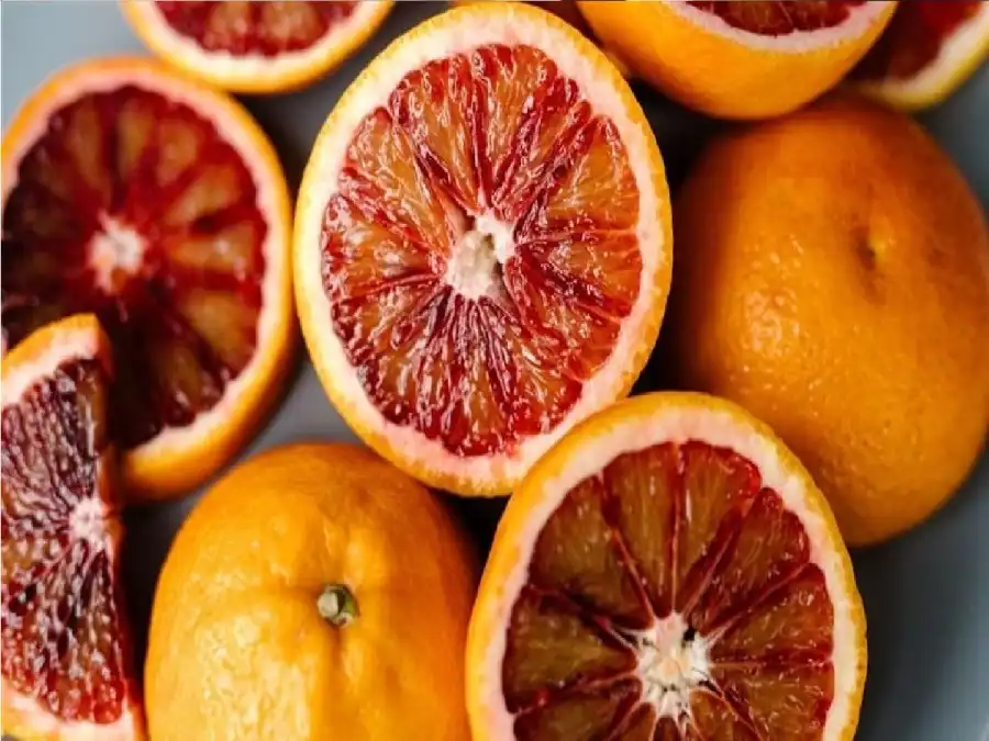 مدار الساعة,أخبار الصحة والأسرة