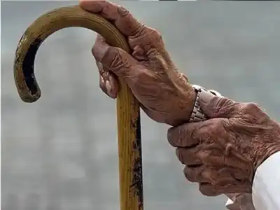 ليس مجرد عزلة: دراسة تربط تناول