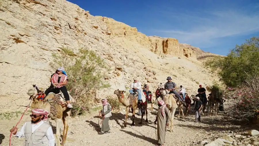 مدار الساعة,أخبار الأردن,اخبار الاردن