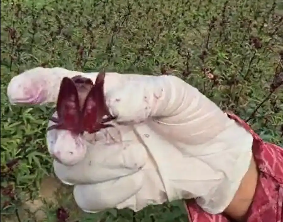 مدار الساعة,Video,فيديو,أخبار الأردن,اخبار الاردن