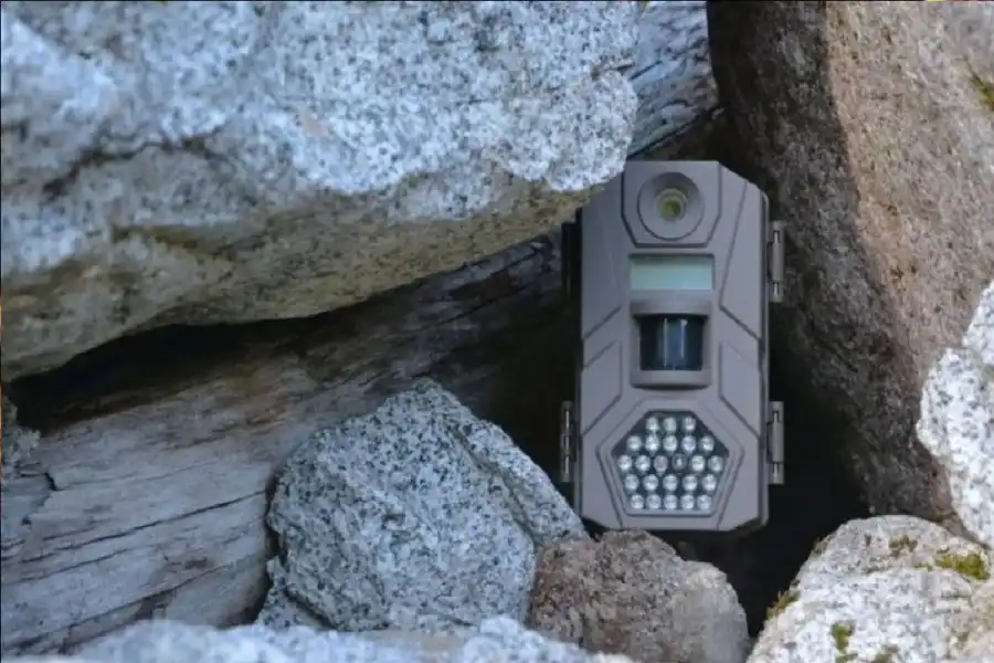 مدار الساعة,أخبار خفيفة ومنوعة,مواقع التواصل الاجتماعي