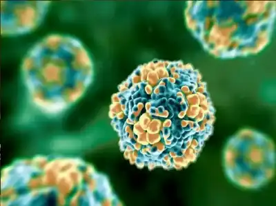 تحذير عاجل: فيروس البرد الصامت يهدد