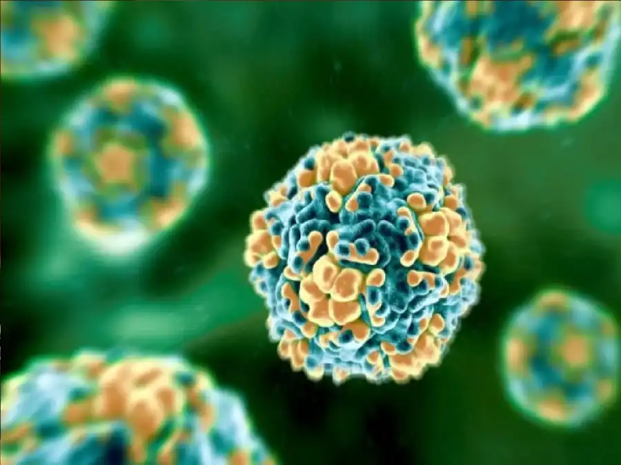 مدار الساعة,أخبار الصحة والأسرة,منظمة الصحة العالمية