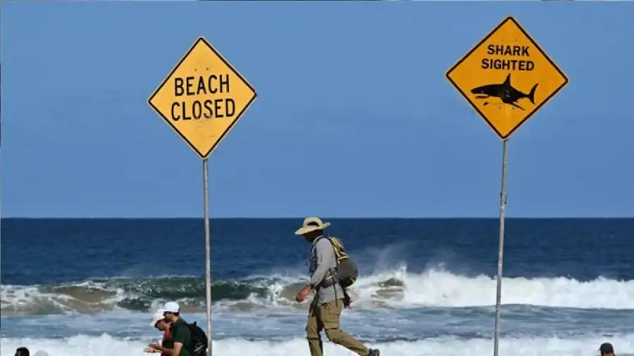 مدار الساعة,أخبار الصحة والأسرة