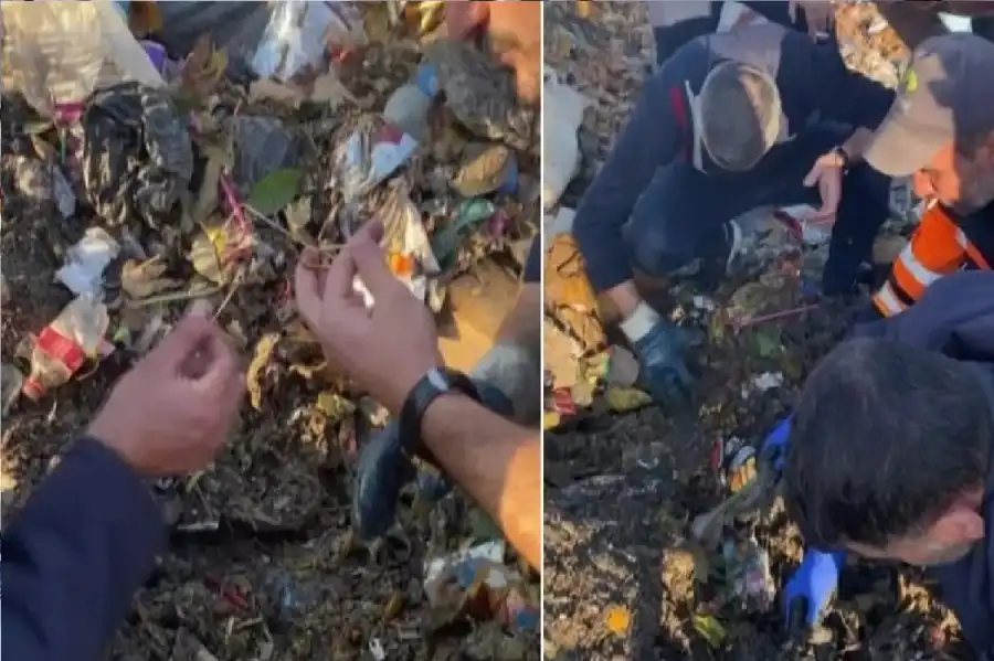 مدار الساعة,أخبار الصحة والأسرة