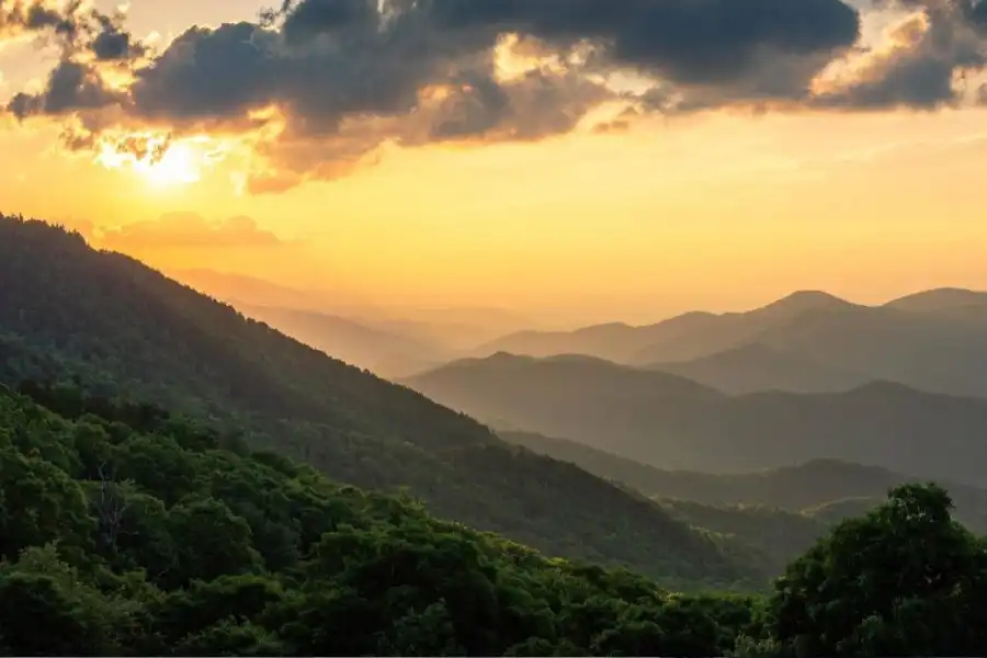 مدار الساعة,أخبار خفيفة ومنوعة