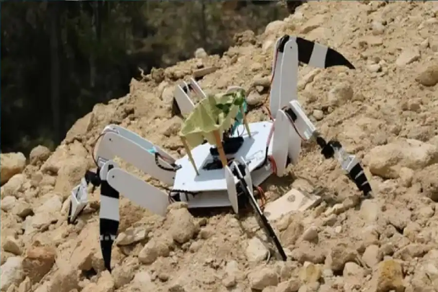 مدار الساعة,أخبار التكنولوجيا، التقنيات,الذكاء الاصطناعي