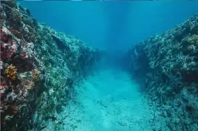 جزء مفقود من التاريخ: جزيرة موريتيا