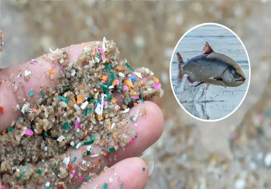 مدار الساعة,أخبار الصحة والأسرة