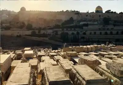 المغالاة في ثمن القبر: حكم شراء