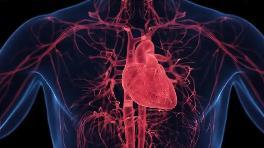 مدار الساعة,أخبار الصحة والأسرة