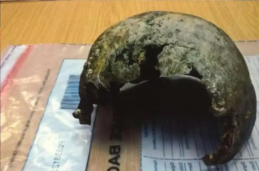 مدار الساعة,أخبار خفيفة ومنوعة,وسائل التواصل الاجتماعي