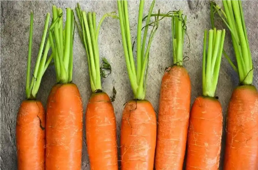 مدار الساعة,أخبار الصحة والأسرة