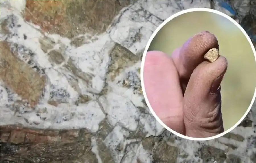 مدار الساعة,أخبار خفيفة ومنوعة