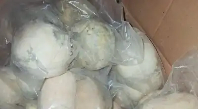 الغذاء والدواء تغلق مستودع جميد غير