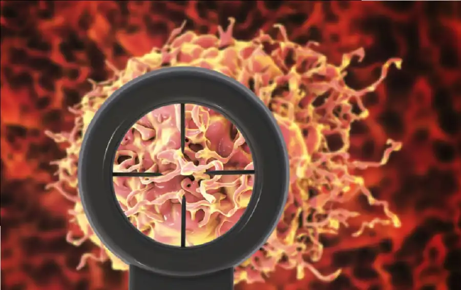 مدار الساعة,أخبار الصحة والأسرة