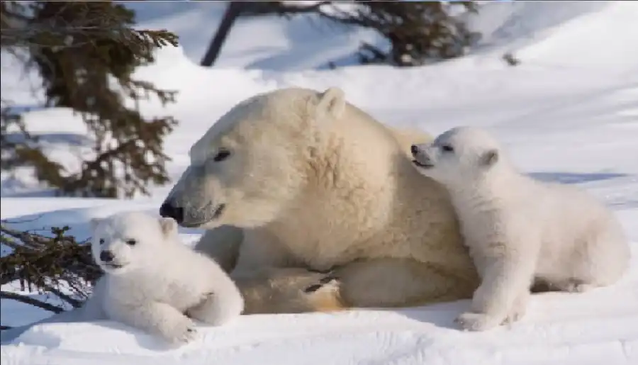 مدار الساعة,أخبار خفيفة ومنوعة