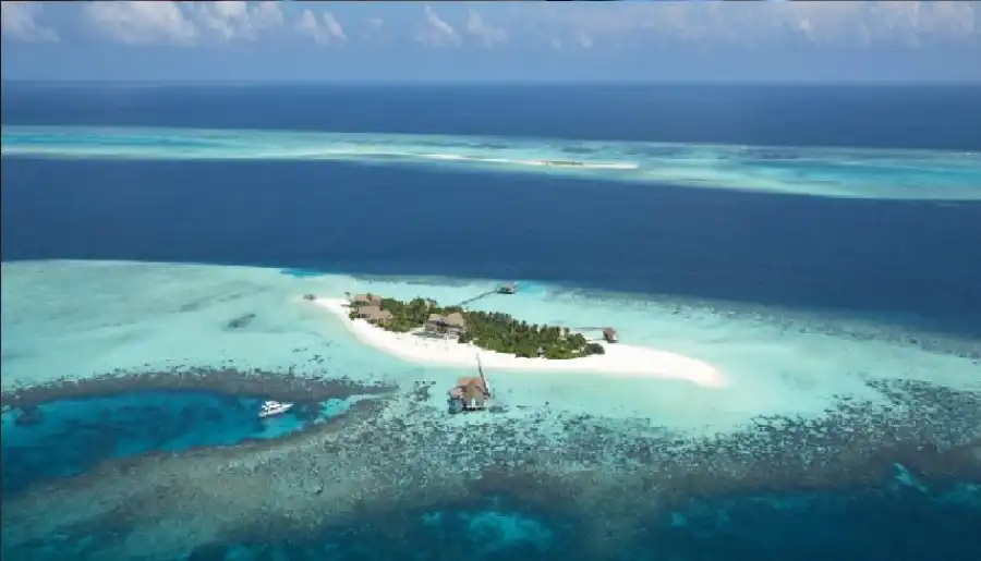 مدار الساعة,أخبار خفيفة ومنوعة