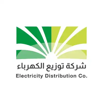 توزيع الكهرباء تطلق منصة رقمية مدعومة