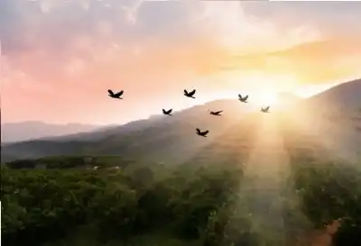 في ملكوت الله: رحلة العقل والقلب