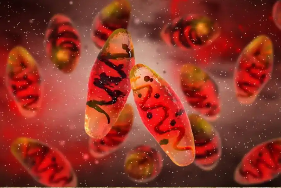 مدار الساعة,أخبار خفيفة ومنوعة