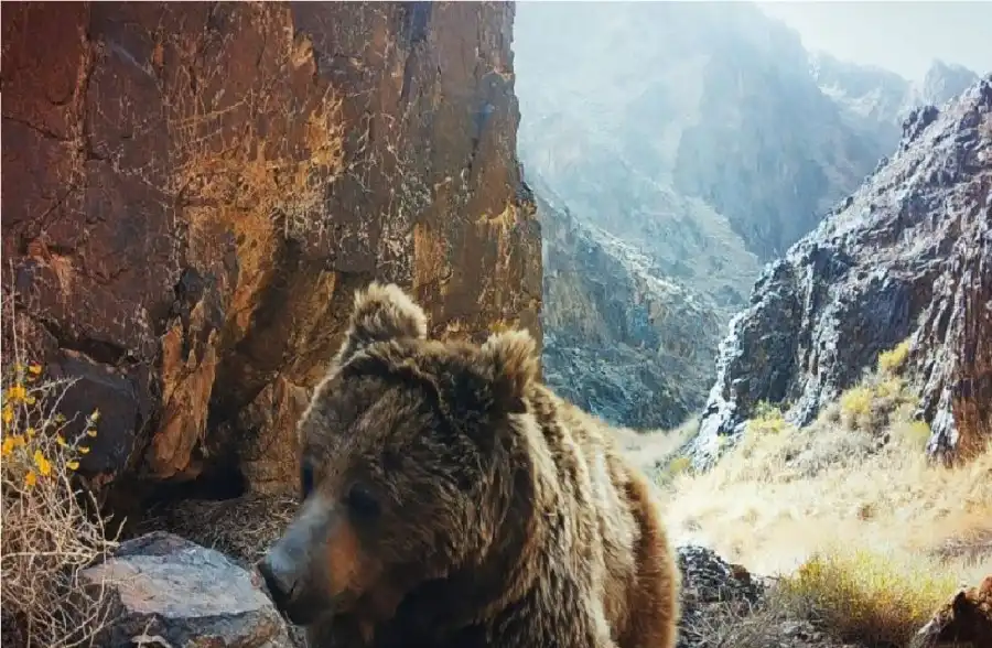 مدار الساعة,أخبار خفيفة ومنوعة,درجات الحرارة