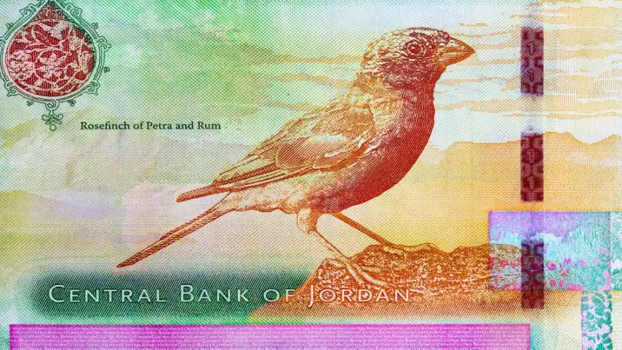 مدار الساعة,أخبار اقتصادية,صندوق استثمار أموال الضمان الاجتماعي,الضمان الاجتماعي,شركة الكهرباء الوطنية