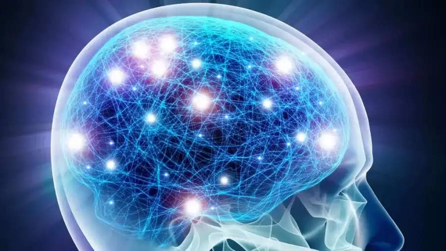 مدار الساعة,أخبار الصحة والأسرة