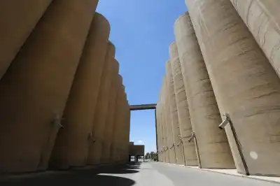 ديوان المحاسبة: الصوامع تحقق أرباحا صافية