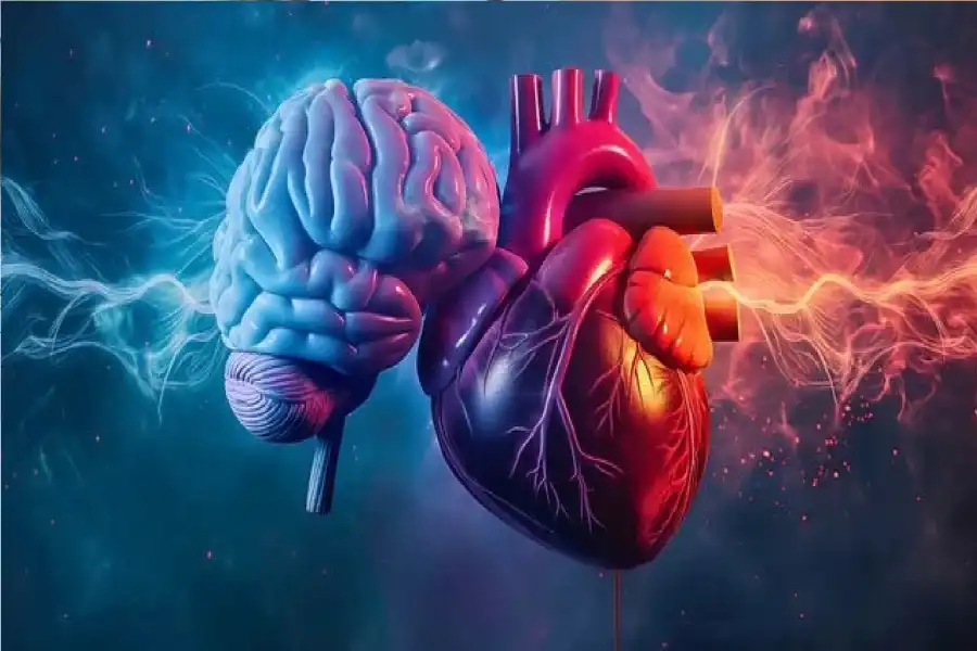 مدار الساعة,أخبار الصحة والأسرة