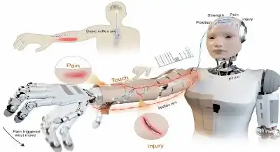 حينما تتألم الآلة.. علماء يطورون جلدا