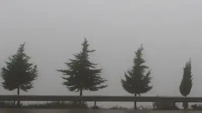 الضباب يغلف رأس منيف.. ومدى الرؤية