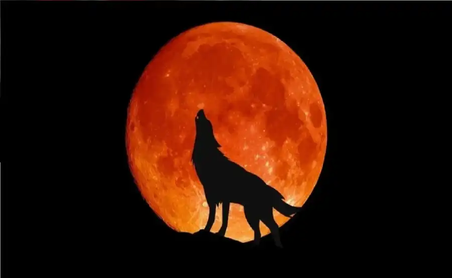 مدار الساعة,أخبار خفيفة ومنوعة