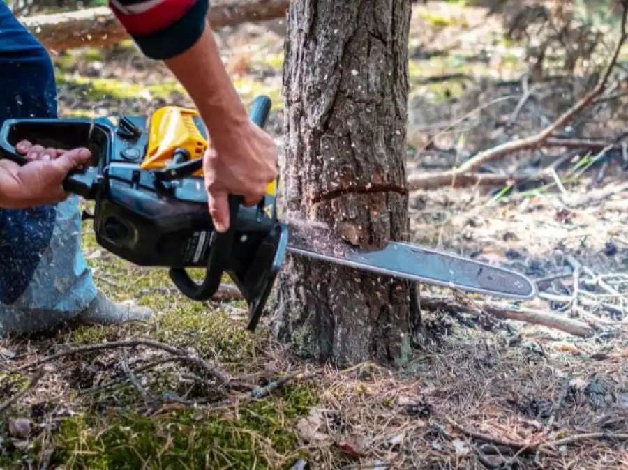 مدار الساعة,أخبار الأردن,اخبار الاردن