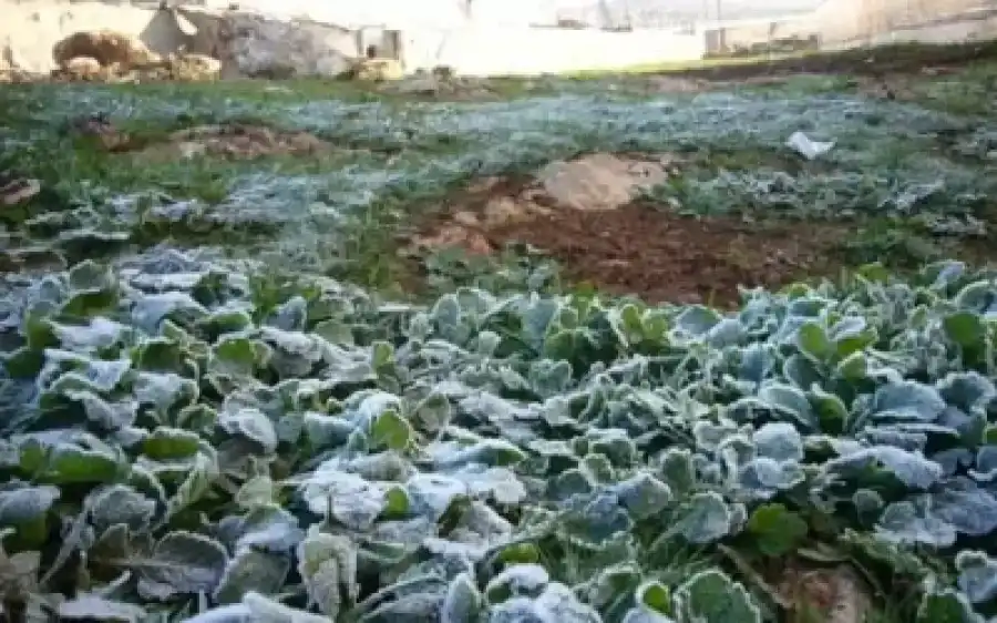 مدار الساعة,أخبار المجتمع الأردني,وادي الأردن,درجات الحرارة